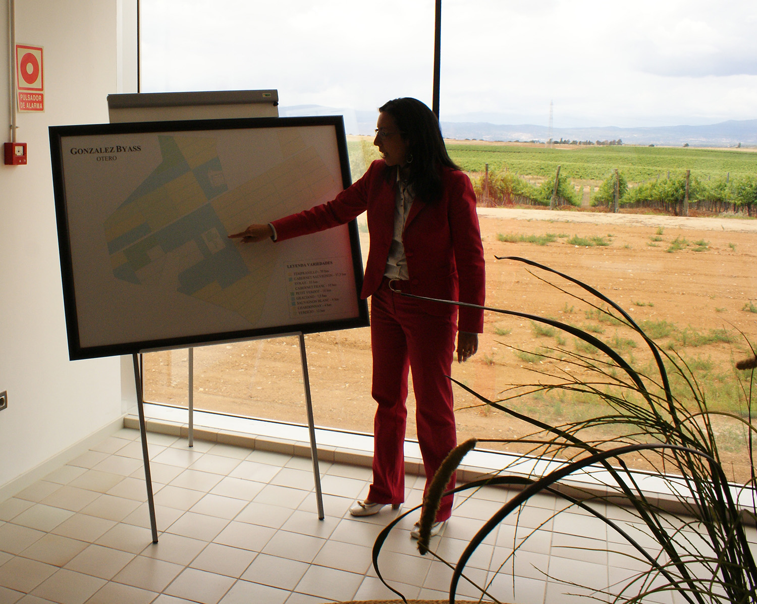 Encuentro Foreros Finca Constancia