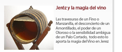 Jerez y la magia del vino