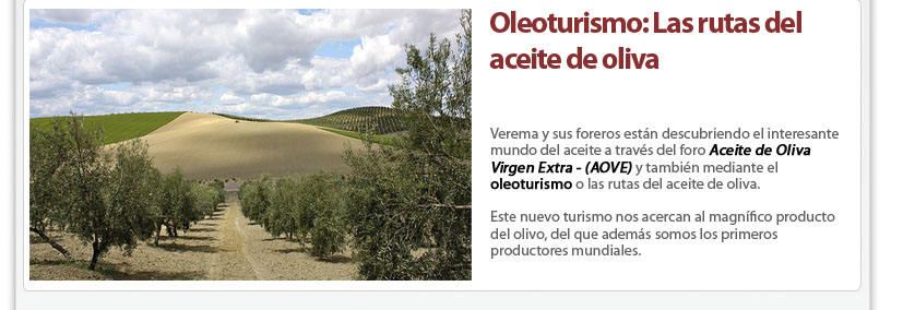 Oleoturismo
