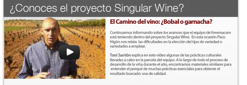 Proyecto Singular WINE