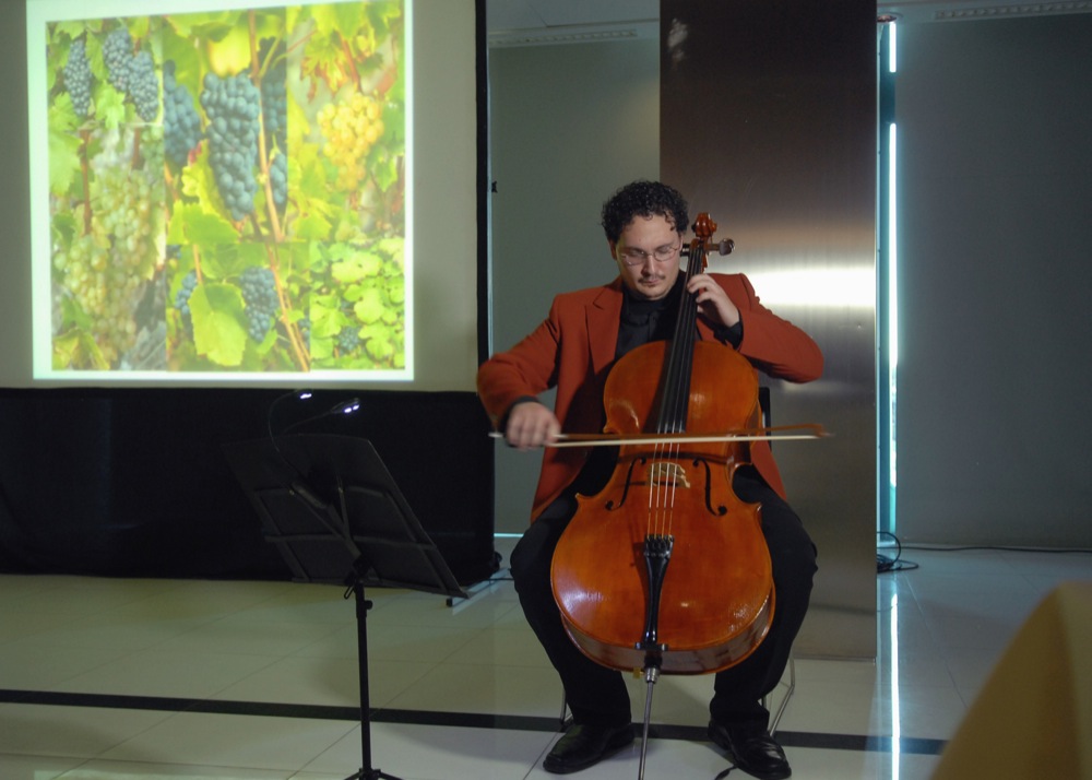 13 Experiencia Verema Valencia