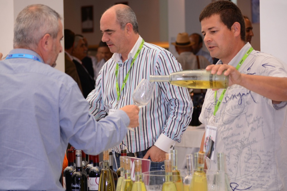 Experiencia Verema Málaga 2014