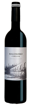 vino celler malondro coelum
