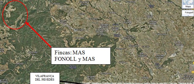 Localización bodega DG Viticultors